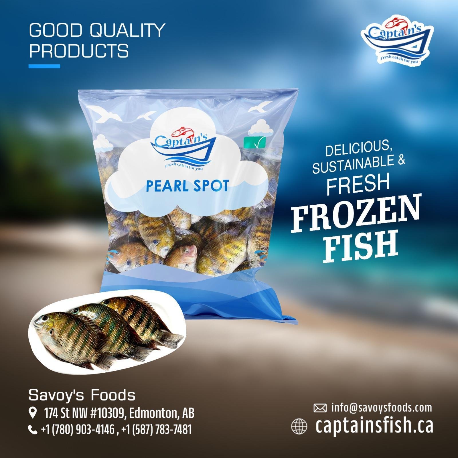 Frozen Fish