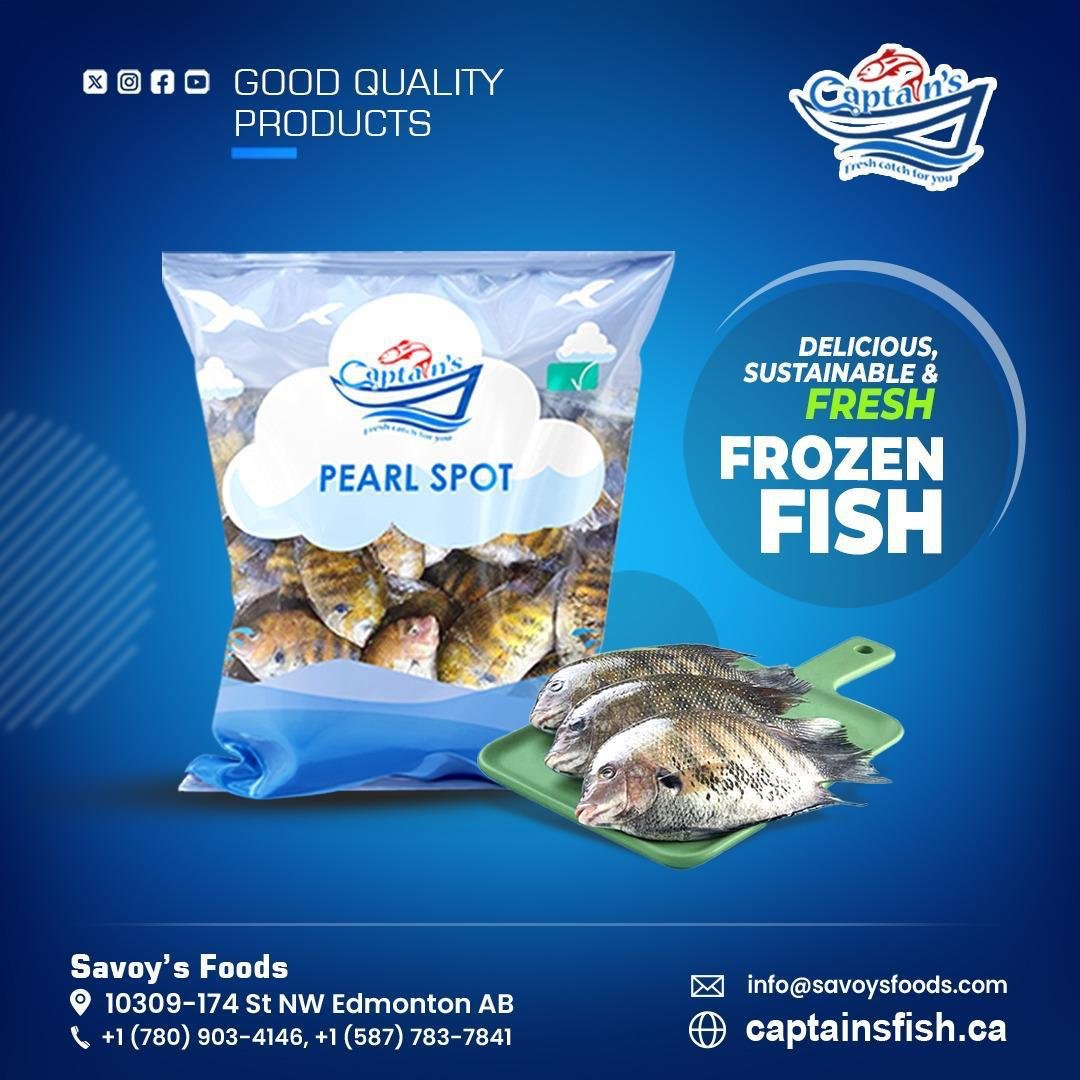 Frozen Fish